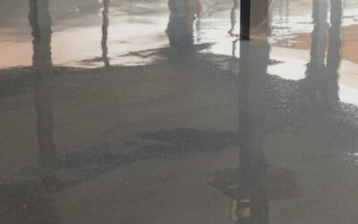 The Painter, Inc.: Unveiling the Colorful Secrets of Epoxy Floor Durability: How Many Years Can You Expect?